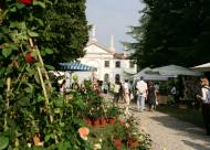 Mostra-mercato Vanzo Floreale 2009